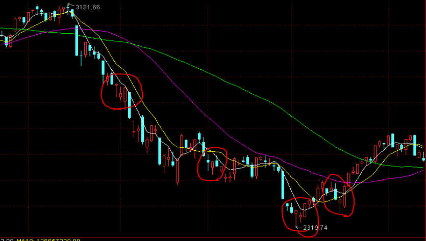 全市无死角覆盖！肇庆8月12日开展爱国卫生运动统一行动