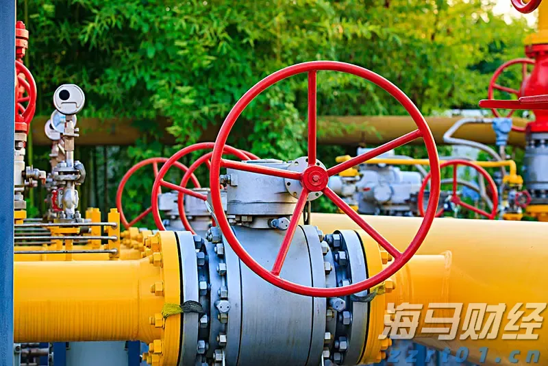 关联巴以局势 挪威主权财富基金从一批美以企业撤资